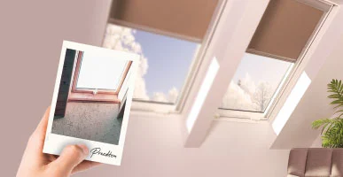Fensteraustausch